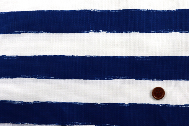 バニラン ビッグボーダープリント 青×白 全体(江戸ッ子 210ya)