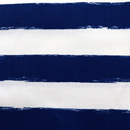 バニラン ビッグボーダープリント 青×白（現在の色）