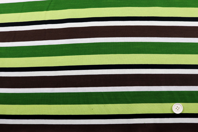 マルチカラー ボーダー天竺ニット 緑系 全体（江戸ッ子 210ya）