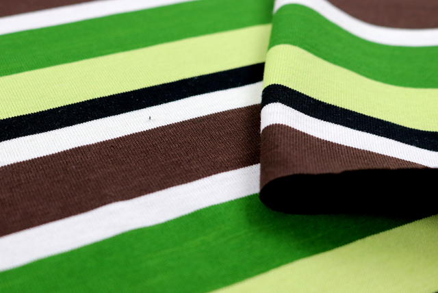 マルチカラー ボーダー天竺ニット 緑系 表面感（江戸ッ子 210ya）