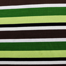 マルチカラー ボーダー天竺ニット 緑系（現在の色）