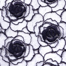 オーガンジーウールレース ワイン（現在の色）