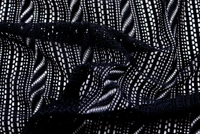 レース服地 黒 ドレープと立体感