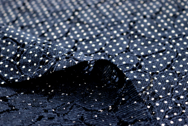 ラッセルレース 水玉プリント 紺 柄アップ