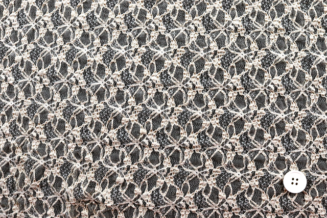 ストレッチ ラッセルレース ベージュ 全体