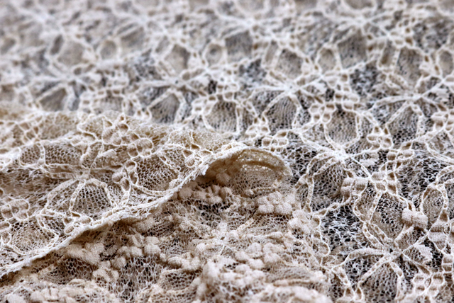 ストレッチ ラッセルレース ベージュ 生地端・裏側