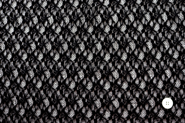 ストレッチ ラッセルレース 黒 全体