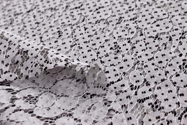 ラッセルレース 水玉プリント 灰白色 耳・透け感