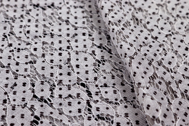 ラッセルレース 水玉プリント 灰白色 表面アップ