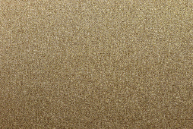 ポリエステルジョーゼット カーキ生地全体