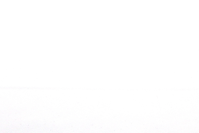 東レ ダブルスムースニット 白 全体(江戸ッ子 210ya)