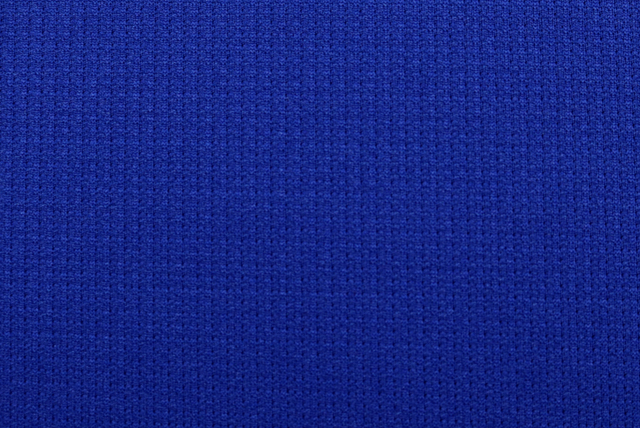 東レ ダブルフェイスニット ロイヤルブルー 全体(江戸ッ子 210ya)