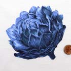 コットン天竺ニット生地 花柄 ブルー（現在の色）