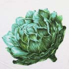 コットン天竺ニット生地 花柄 グリーン