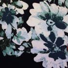 グログランパネルプリント服地 花柄 濃紺地×紺系（現在の色）