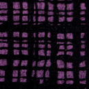 フロッキーチェックプリントニット 赤紫