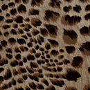 麻混アニマルプリント ヒョウ柄 茶系