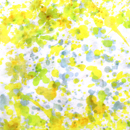 コットン強撚スムースニットプリント ぼかし花柄 黄色系