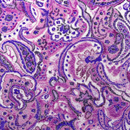 ストレッチちりめんニット ペイズリープリント ピンク×紫系