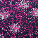 ストレッチ ちりめんニット 線描き花柄 マゼンダ（現在の色）